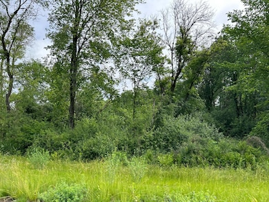 14985 Stutz St NE, Ham Lake, MN 55304 - photo 2