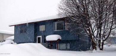 Snowy Day