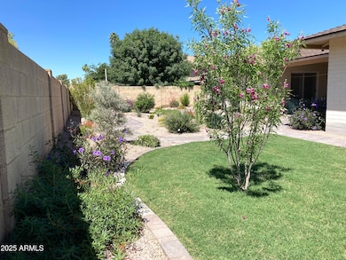 1019 E Watson Dr, Tempe, AZ 85283 - photo 6