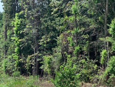 400 Airport Dr, Moncks Corner, SC 29461 - photo 6