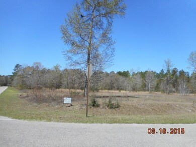 0 Sweetwater Cir unit 249833, Crawfordville, FL 32327 - photo 4
