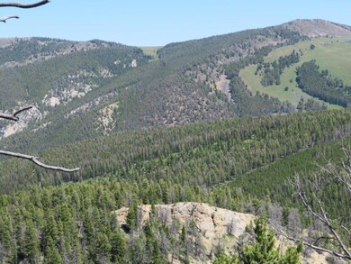 Slvr Queen Quartz Hill Rd, Wise River, MT 59762 - photo 5