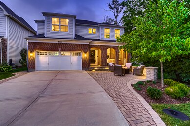 370 E Harrison St, Elmhurst, IL 60126 - photo 3