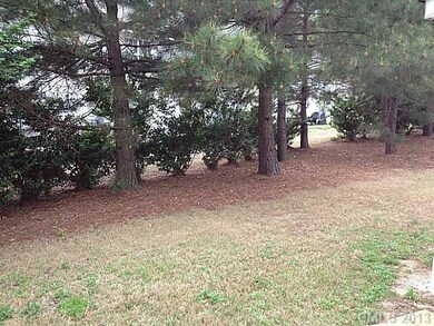 Yard/Garden