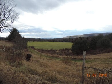 170 Cheshire Turnpike, Langdon, NH 03602 - photo 5