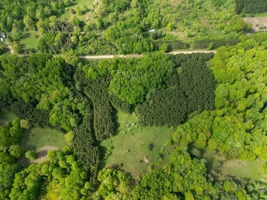 0 S Deer Lake Rd, Reed City, MI 49677 - photo 3