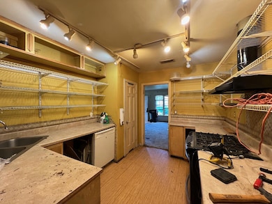 Kitchen with light wood-type flooring, sink, track