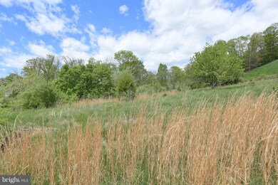 0 Heavenly Acres Ridge unit MDWA163984, Hancock, MD 21750 - photo 3