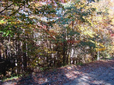 4 Ghastly Job Way unit 4, Wilmington, VT 05363 - photo 5