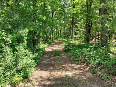 Path back