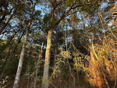 TBD E Chestnut Ave, Crestview, FL 32539 - photo 5