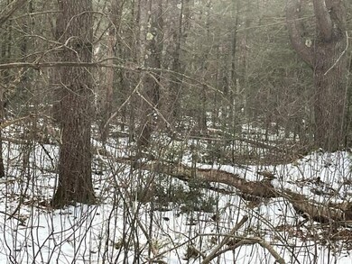 Lots 1 & 2 Eden Farm Rd, Pownal, ME 04069 - photo 3