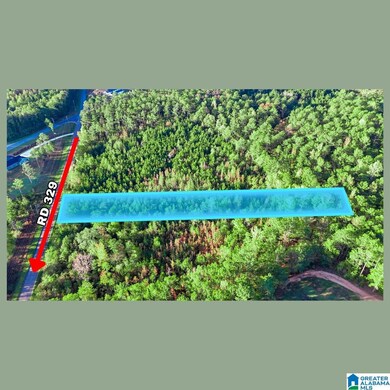 Tract  3A County Road 329, Wedowee, AL 36278 - photo 2