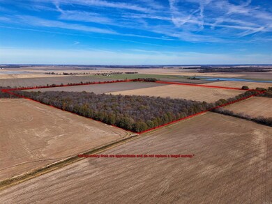 0 County Road 105, Hickory Ridge, AR 72347 - photo 7