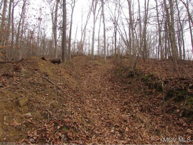 Hill Climb