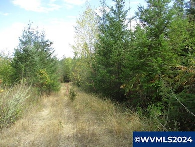 00 Bellinger Scale (2) Rd, Lebanon, OR 97355 - photo 4