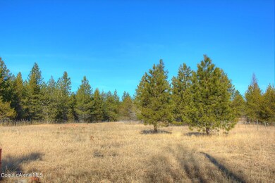 Beautiful level land