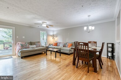 6136 Starburn Path, Columbia, MD 21045 - photo 6