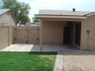 Back Yard1
