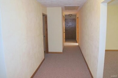 8 S Monroe St, Freeburg, IL 62243 - photo 5