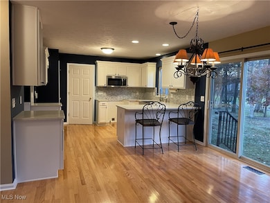 7072 Oak Tree Dr N, Lorain, OH 44053 - photo 3