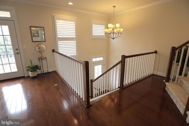 46679 Joubert Terrace, Potomac Falls, VA 20165 - photo 5