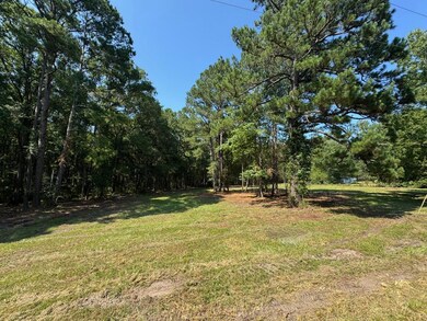 1694 Fish Rd unit 1-5, Ridgeville, SC 29472 - photo 3