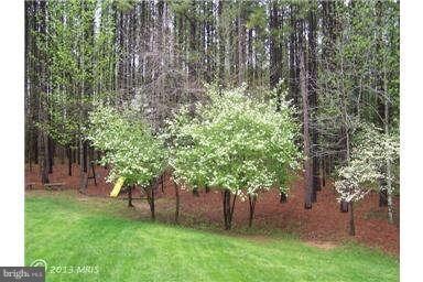 133 Miltons Ln, Louisa, VA 23093 - photo 6