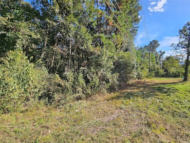 0 Hardin Store unit 12393015, Magnolia, TX 77354 - photo 5