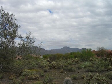 PHOTO #2