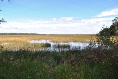 Marsh Views