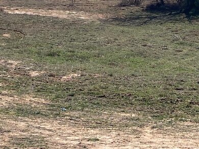 1203 Sandy Ln, Weatherford, TX 76088 - photo 6