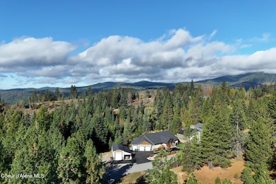 Drone View 3