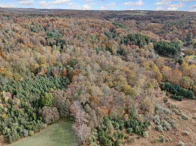 22 New York 52a, Kenoza Lake, NY 12750 - photo 7