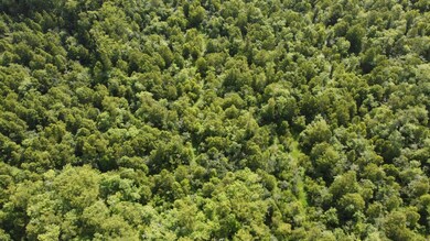 TBD Vicknair Rd, Maurepas, LA 70449 - photo 7