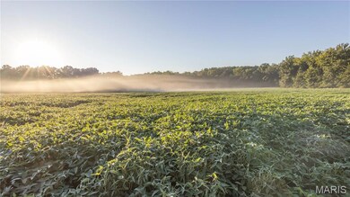 View of local wilderness with rural landscape and large plots for crops