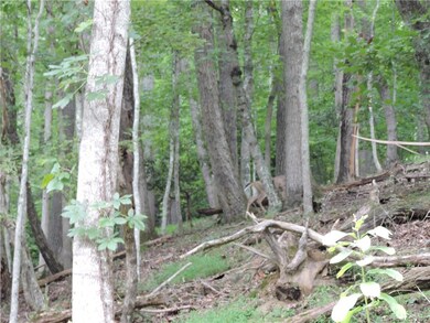 1377 Leisure Ln unit 23, Jacks Creek, NC 28714 - photo 3