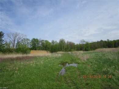 0 County Line Rd N unit 3961452, Geneva, OH 44041 - photo 4