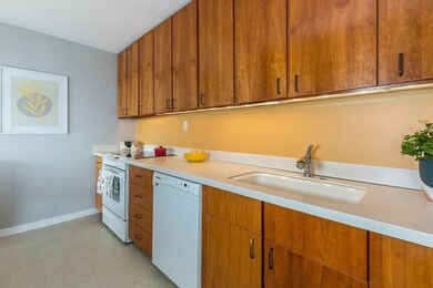 221 Mt Auburn unit 307, Cambridge, MA 02138 - photo 6