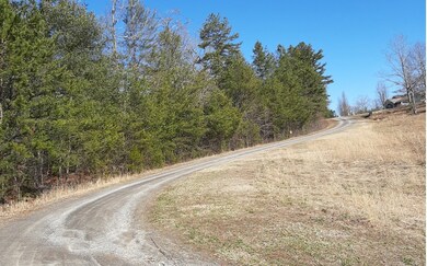 Additional View
