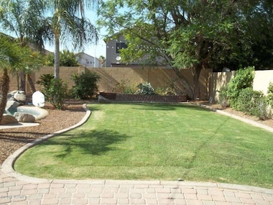 backyard 1