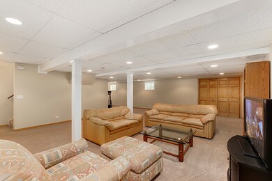 4107 Joe Willie Dr, Naperville, IL 60564 - photo 5