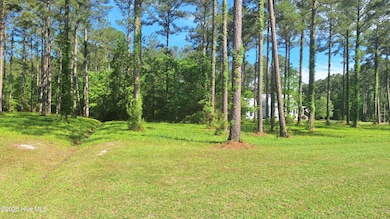 156 Dawson Creek Blvd, Oriental, NC 28571 - photo 3