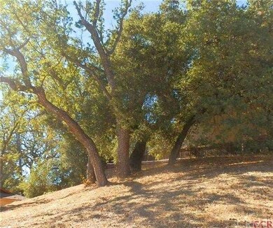 OAKS AT THE BACK OF THE LOT