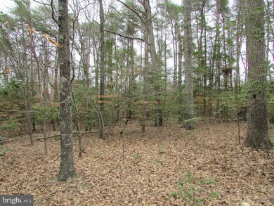 Lot 10 Settlers Ln, Washington, VA 22520 - photo 7