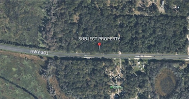00 N Hwy 301, Citra, FL 32113 - photo 2