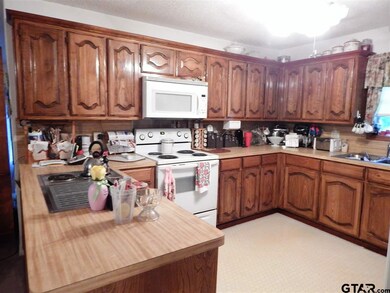 10927 County Road 2219, Tyler, TX 75707 - photo 7