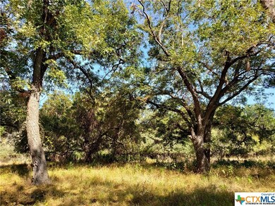 TBD Gruene Rd, New Braunfels, TX 78130 - photo 3