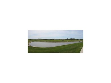 Other. Golden Gate Pond