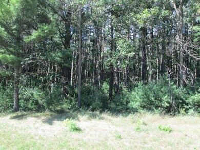 0 Wisconsin 21, Coloma, WI 54930 - photo 7